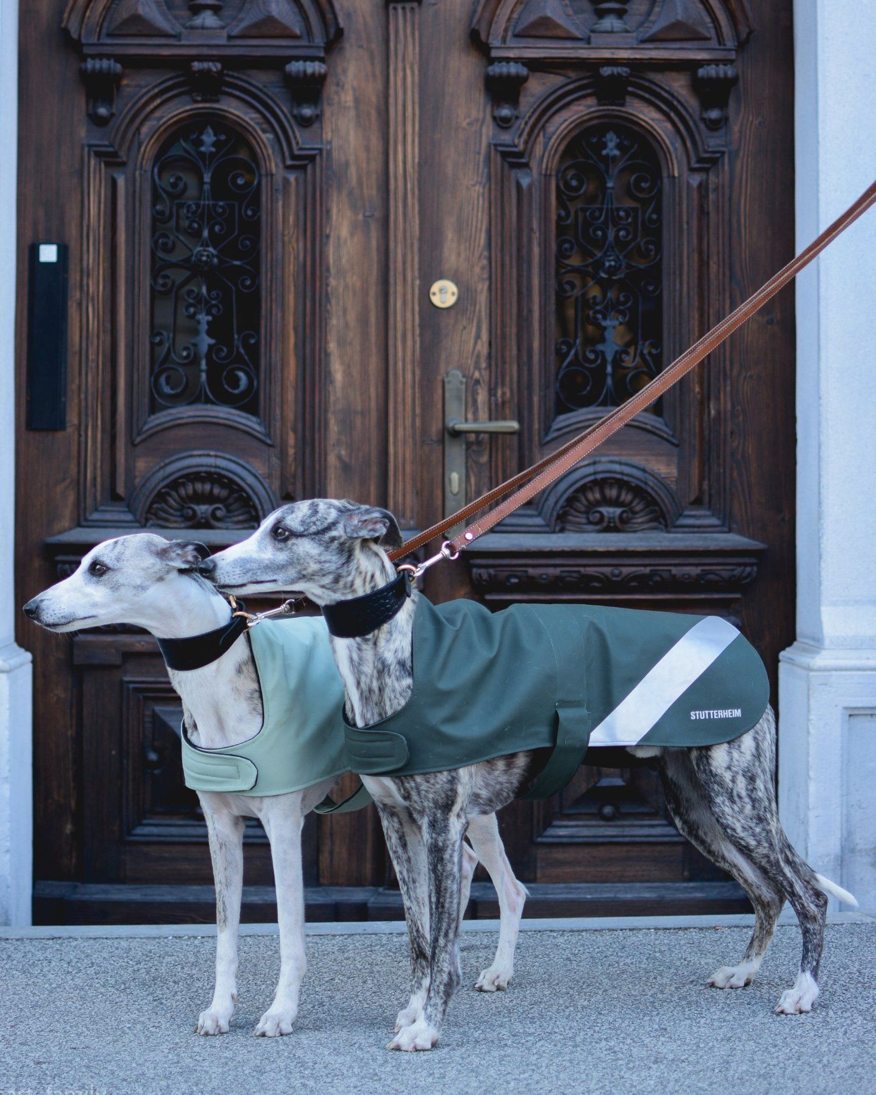 stutterheim dog raincoat green accessories dog-raincoats